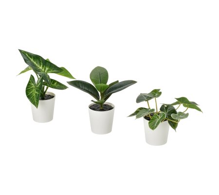 IKEA FEJKA (ИКЕА ФАЛЬШИВЫЙ)