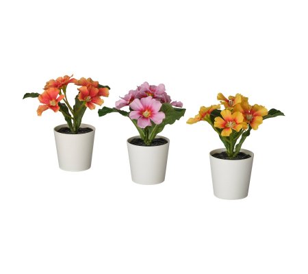 IKEA FEJKA (ИКЕА ФАЛЬШИВЫЙ)