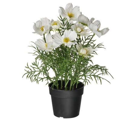 IKEA FEJKA (ИКЕА ФАЛЬШИВЫЙ)