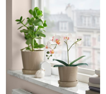 IKEA FEJKA (ИКЕА ФАЛЬШИВЫЙ)