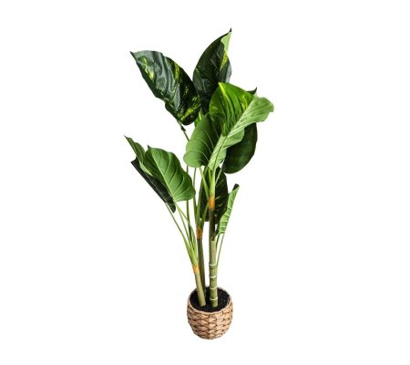 Искусственное растение Homla DIFENBACHIA 110 см Зеленый