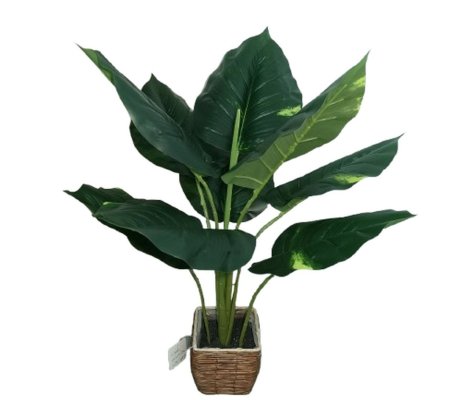 Искусственное растение Homla STRELICJA 60 см Зеленый