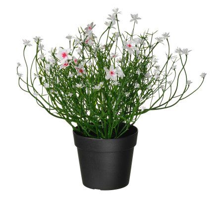 IKEA FEJKA (ИКЕА ФАЛЬШИВЫЙ)