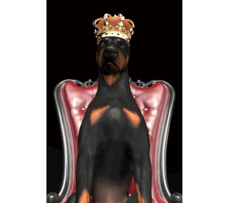 Картина на склі Signal DOG IN CROWN