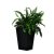 Горщик для рослин Keter Rattan Planter M | Антрацит 228974-1