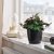 IKEA BROKTRAST (ИКЕА БРОКТРАСТ) 50635396 фото - 2