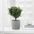 IKEA Кашпо NYPON (ИКЕА НАЙПОН) 00395619 фото - 12