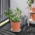 IKEA CURRYBLAD (ИКЕА КАРИБЛАД) 20560750 фото - 5