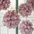 IKEA SMYCKA (ИКЕА СМИЦА) 10637340 фото - 2