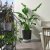 IKEA VARDTRAD (ИКЕА ВАРДТРАД) 90570864 фото - 5