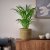 IKEA SANDODLA (ИКЕА САНДОДЛ) 30633063 фото - 3