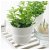 IKEA Кашпо FORENLIG (ИКЕА FÖRENLIG) 70454813 фото - 10