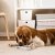 IKEA Ковер TIPHEDE 120x180 см Кремовый (ИКЕА TIPHEDE) 40456757 фото - 7