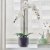 IKEA GRADVIS (ИКЕА ГРАДВИС) 10502930 фото - 2