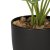 Штучна рослина в горщику Homla PALMS 13x41см | Зелений - 6 Штучна рослина в горщику Homla PALMS 13x41см | Зелений 162371 фото - 6