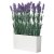 IKEA FEJKA (ИКЕА ФАЛЬШИВЫЙ) 00586355