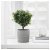 IKEA Кашпо NYPON (ИКЕА НАЙПОН) 00395619 фото - 5
