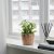 IKEA Кашпо FRIDFULL (ИКЕА FRIDFULL) 90155870 фото - 12