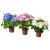 HYDRANGEA - 5 IKEA HYDRANGEA (ИКЕА ГОРТЕНЗИЯ) 70540364 фото - 5