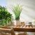 IKEA FEJKA (ИКЕА ФАЛЬШИВЫЙ) 80626395 фото - 2