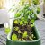 IKEA ASPAREN (ИКЕА АСПАРЕН) 10586232 фото - 15