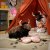 IKEA ALPTALL (ИКЕА АЛПТАЛЛ) 10620641 фото - 5