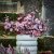 IKEA SMYCKA (ИКЕА СМИЦА) 60632948 фото - 3