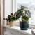 IKEA HONUNGSPALM (ИКЕА ХОНУНГСПАЛЬМ) 90641343 фото - 5