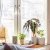 CHIAFRON - 17 IKEA CHIAFRON (ИКЕА ШИАФРОН) 60475793 фото - 17