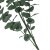 Искусственная ветвь Homla EUCALYPTUS 95 см | Зеленый - 3 Искусственная ветвь Homla EUCALYPTUS 95 см | Зеленый 208376 фото - 3