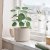 IKEA SMATARNA (ИКЕА СМАТРАННА) 60630727 фото - 2