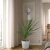 IKEA CORDYLINE INDIVISA (ИКЕА КОРДИЛИН ИНДИВИЗА) 00547118 фото - 2