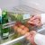 IKEA KLIPPKAKTUS (ИКЕА КЛИППАКТУС) 00624734 фото - 2