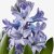 IKEA HYACINTHUS (ИКЕА ГИАЦИНТ) 40535019 фото - 4