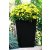 Горщик для рослин Keter Rattan Planter M | Антрацит 228974-1 фото - 2