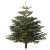 ABIES NORDMANNIANA IKEA ABIES NORDMANNIANA (ИКЕА АБИС НОРДМАННИАН) 80045882
