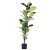 Штучна рослина в горщику Homla TROPICAL ZONE 125см | Чорний / Зелений - 3 Штучна рослина в горщику Homla TROPICAL ZONE 125см | Чорний / Зелений 164633 фото - 3