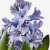 IKEA HYACINTHUS (ИКЕА ГИАЦИНТ) 60587842 фото - 7