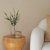 IKEA SMYCKA (ИКЕА СМЫЦКА) 60562714 фото - 2