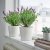 LAVANDULA - 2 IKEA LAVANDULA (ИКЕА ЛАВАНДУЛА) 60547120 фото - 2