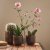 IKEA GRADVIS (ИКЕА ГРАДВИС) 40623290 фото - 4