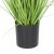 Штучна рослина в горщику Homla GRASS 57 см | Зелений / Чорний / Екрю - 3 Штучна рослина в горщику Homla GRASS 57 см | Зелений / Чорний / Екрю 163772 фото - 3