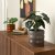 IKEA HASSELBUKETT (ИКЕА ХАССЕЛЬБУКЕТТ) 40641350 фото - 5