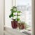 IKEA SESAMFRON (ИКЕА СЕЗАМФРОН) 20569345 фото - 3