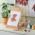 IKEA SOLFAGEL (ИКЕА СОЛЬФАГЕЛЬ) 10544223 фото - 5