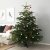 IKEA ABIES NORDMANNIANA (ИКЕА АБИС НОРДМАННИАН) 80228363 фото - 3