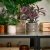 IKEA HASSELBUKETT (ИКЕА ХАССЕЛЬБУКЕТТ) 40641350 фото - 2
