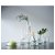 IKEA Набір ваз CYLINDER (ИКЕА ЦИЛИНДР) 80175091 фото - 12