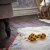 IKEA Погремушка KLAPPA (ИКЕА KLAPPA) 00365033 фото - 6