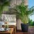 IKEA BJORNBAMBU (ИКЕА Бьорнбамбу) 20561293 фото - 4